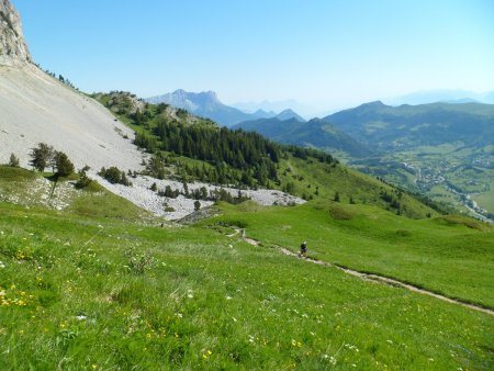 Encore pas mal de vert, ici