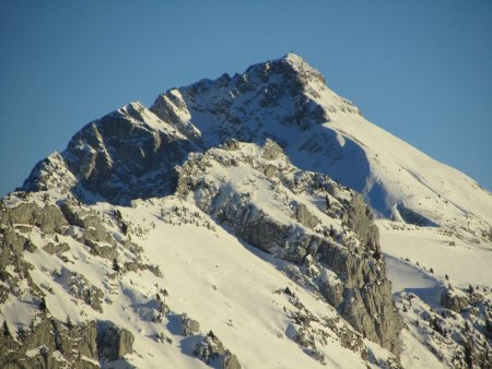 Zoom sur le Trélod.