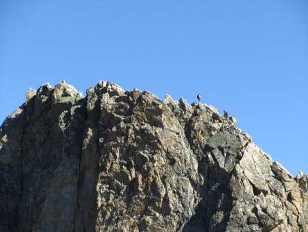 Alpinistes au sommet de la Centrale.