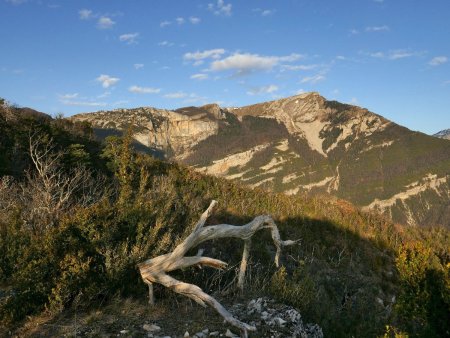 En redescendant : ambiance du Vercors sud