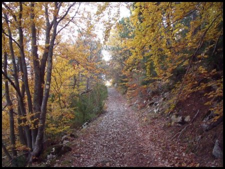 Sentier vers Toussièrette.