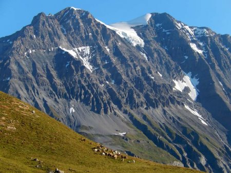 Zoom sur le plus beau souvenir de nos années de montagne