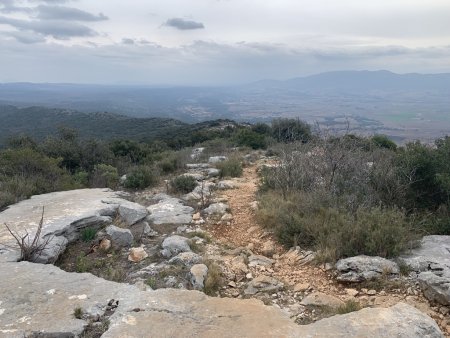 Descente vers Puyloubier.