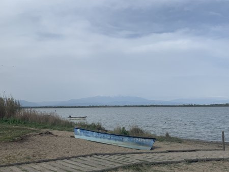 Au loin le Canigou.