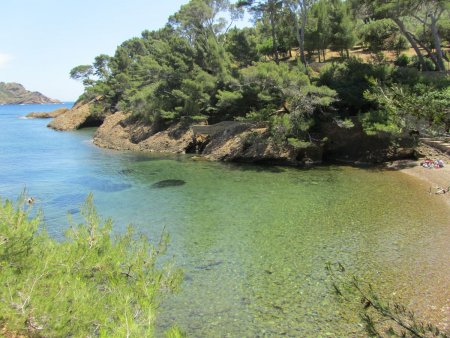 Pour commencer, la baignade est trop tentante.