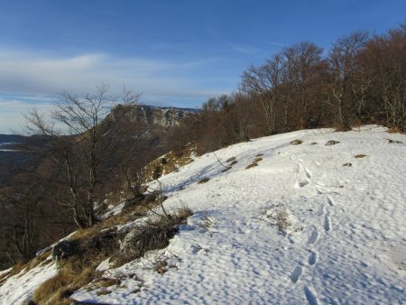 Arrivée sur la crête ensoleillée.