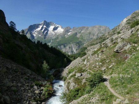 Bas du vallon de la Selle.