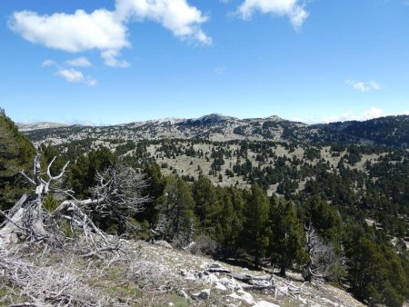 Hauts Plateaux : vers la Croix du Lautaret