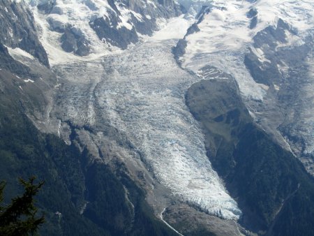 Le glacier des Bossons.