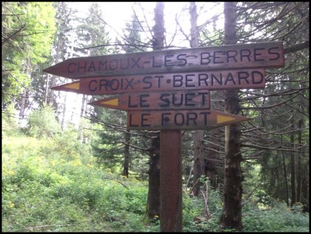 Panneaux en bois sur le parcours.