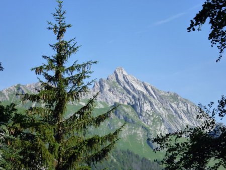 L ’Arcalod vu du sentier du col de la Fougère