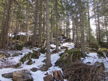 Sur la fin, le sentier des panoramas monte en forêt.