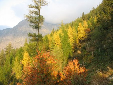 Sur le sentier de retour - Rochers des Mottets