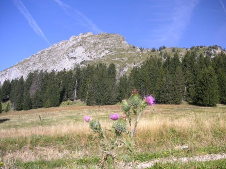 Le Mont Chauffé