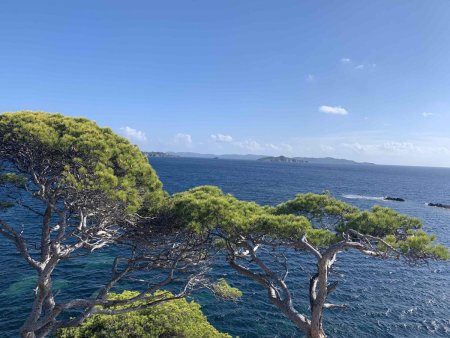 L’île de Porquerolles.