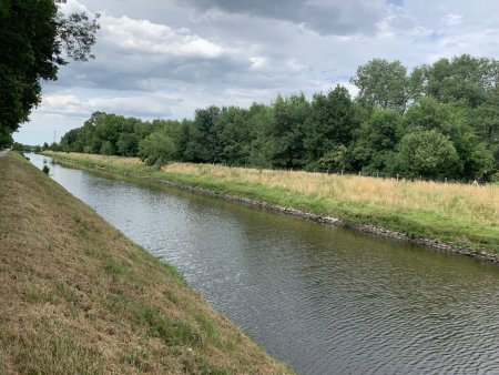 Bras de la Mayenne.