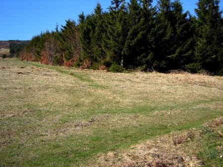 Bifurcation. Suivre la lisière de la forêt.