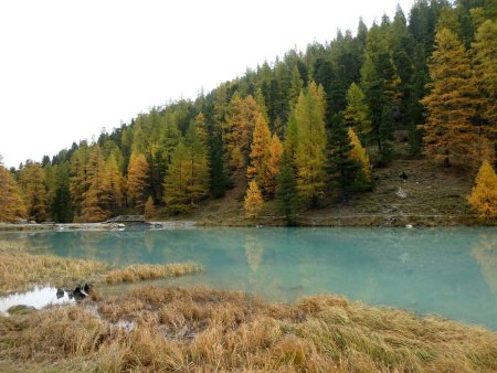 Lac à la couleur magnifique malgré le temps mitigé.