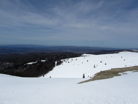 La forêt de Lure.