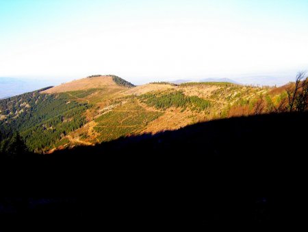 Les stigmates de la grande tempête de 1999 sont toujours visibles sur le Chaux de Toureyre.