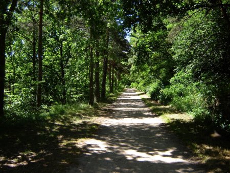 Sur le tracé de l’ancienne voie ferrée.