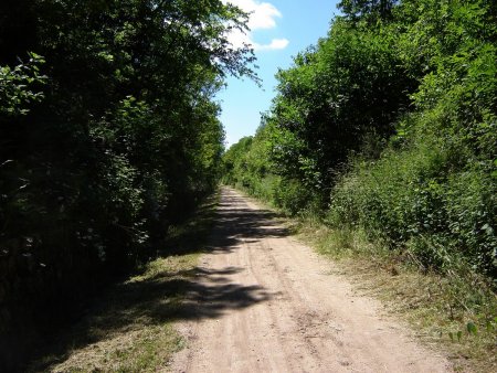 Sur le tracé de l’ancienne voie ferrée.