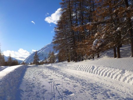 Le chemin piéton