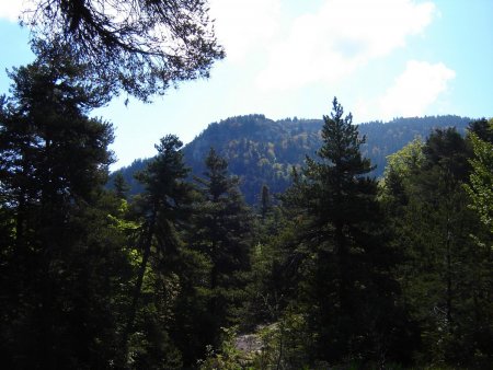 Regard arrière sur le sommet de Banne.