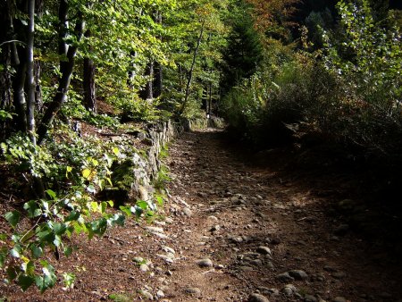 Chemin caillouteux