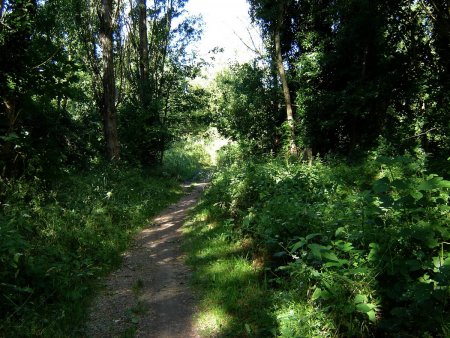 Le sentier des bords de Loire.