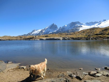 Lac Noir