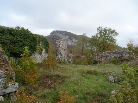 Ruines du Château-Neuf