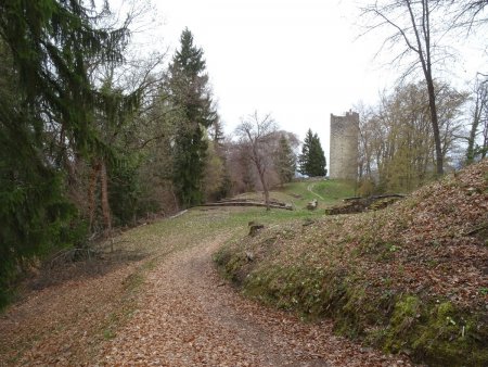 Le site des Tours de Montmayeur