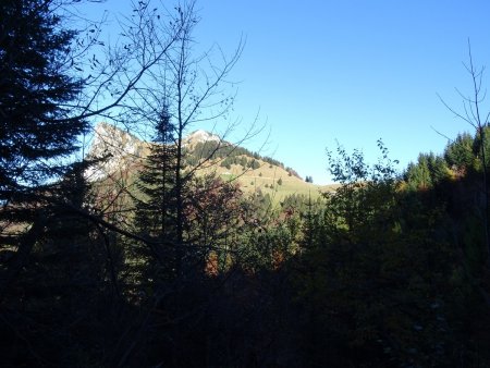 Col de l’Aulp