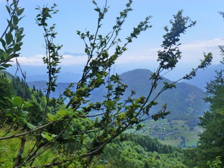 Au loin le grand pic de Belledonne, le sommet de Montgellaz