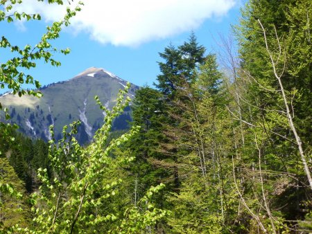 Pointe de Chaurionde