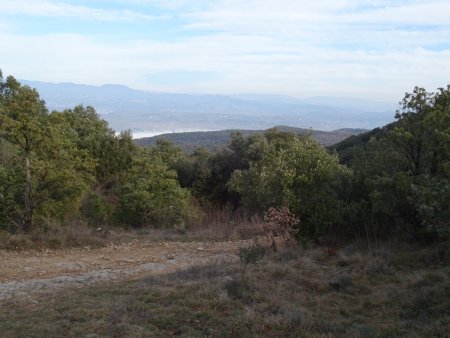 En montant au col de la Cize