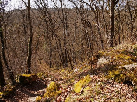 Sur le sentier du Tacot, on récupère le parcours Batier qui traverse la combe Grisard.