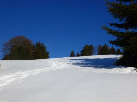 La descente côté forêt