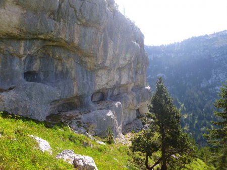 Sous les falaises