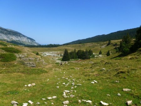 Descente dans l’alpage, le Pinet