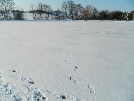 Le Plan d’eau de Sainte-Catherine.