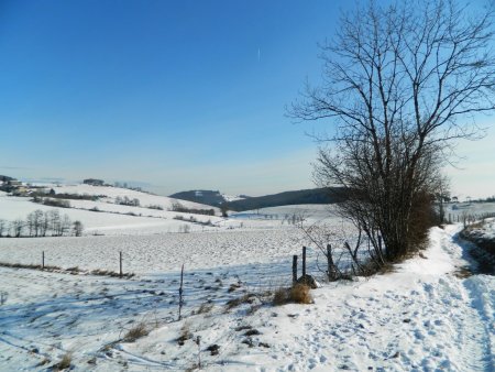 Campagne enneigée.