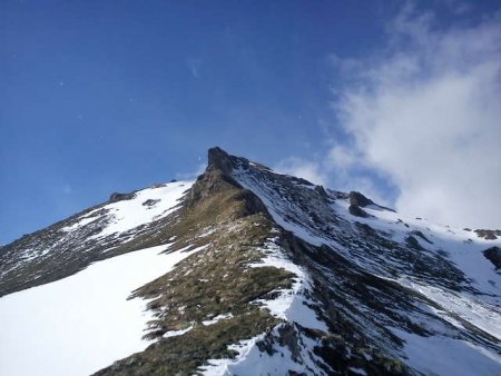 Le Dos du Pachonier, le sommet et l’arête Est