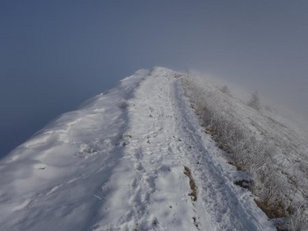 Sur la crête sommitale, juste à la limite des nuées...