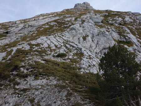 Du collu, montée des escaliers herbeux se faufilant entre les dalles.