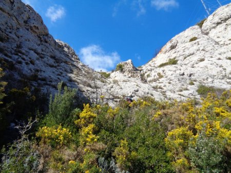 Passage en désescalade de la vigie du Pilon du Roi