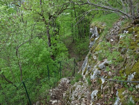 La sortie du sentier des Voûtes.