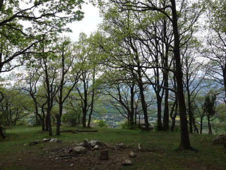 Prairie ombragée avec vue...