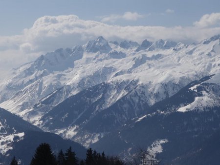 Les dentelles de la Lauzière.